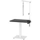 Blovi Air Lift Grooming Table 70x48cm - stół groomerski z podnośnikiem pneumatycznym