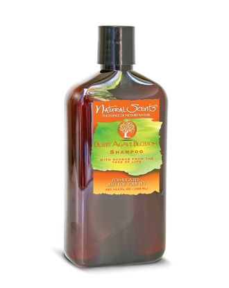 Bio-Groom Desert Agave Blossom - ekskluzywny szampon dla psa i kota, z wyciągiem z baobabu i kwiatu agawy - 428ml