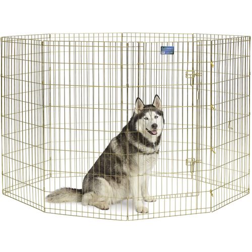 MidWest Gold Zinc Exercise Pen 61x122cm - solidny kojec, płotek dla psa z ocynku w kolorze złota