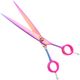 P&W ButterFly Straight Scissors - profesjonalne nożyczki groomerskie, proste