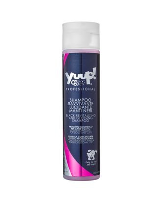 Yuup! Professional Black Revitalising & Glossing Shampoo - szampon nabłyszczający do szaty czarnej i ciemnej, koncentrat 1:20