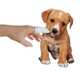 Micromed Tooth Care - wielorazowy czyścik do zębów dla psa, z jonami srebra, do sterylizacji
