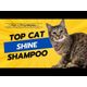 Chris Christensen Top Cat Shine Shampoo - nawilżająco-nabłyszczający szampon dla kota, koncentrat 1:8