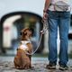 Max&Molly Rope Leash Matrix 2.0 200cm Sand - przepinana smycz linowa dla psa, piaskowy beż