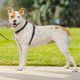 PetSafe 3in1 Harness & Car Restraint - szelki samochodowe dla psa