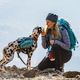 Kurgo Big Baxter Backpack 7,5L Blue - sakwy dla dużego i bardzo dużego psa, niebieskie