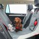 KONG Travel 2-In-1 Bench Seat Cover & Dog Hammock - mata do samochodu dla psa, pokrowiec na tylne siedzenie