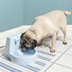 PetSafe Drinkwell Original Pet Fountain 1,8L - fontanna dla kota i małego psa