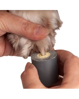 Show Tech Stop Bleeding Holder - pudełko do proszku tamującego krwawienie