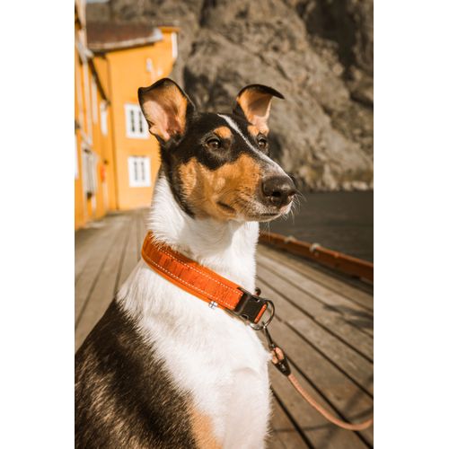 Hurtta Casual Collar Cinnamon obro a dla psa