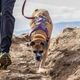 Kurgo Journey Air Harness Purple - szelki do biegania dla psa, fioletowe