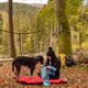 Kurgo Ridgeline Tie-Out 9m - tyrolka dla psa, linka kampingowa dla psa, rozpinana między drzewami