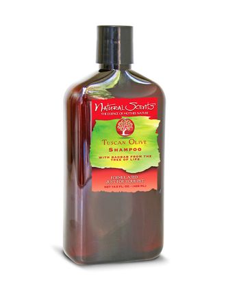 Bio-Groom Tuscan Olive Shampoo - ekskluzywny szampon dla psa i kota, z wyciągiem z oliwek toskańskich - 428ml