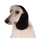 Show Tech Ear Buddy L - czarna opaska do suszenia płochliwych psów, duża
