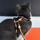 Dashi Stripes Orange & Black Cat Harness + Leash - szelki i smycz dla kota, zestaw, pomarańczowo-czarne paski
