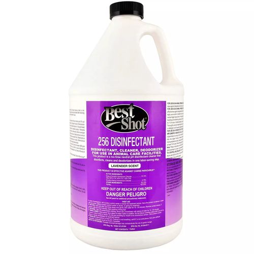 Best Shot 256 Disinfectant Lavender 3,8L - skoncentrowany płyn do czyszczenia i dezynfekcji, o zapachu lawendy