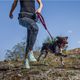 Julius-K9 Speed Harness - sportowe szelki dla psa, regulowane