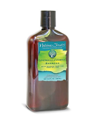 Bio-Groom Lemongrass & Verbena Shampoo - ekskluzywny szampon dla psa i kota, z trawą cytrynową i werbeną - 428ml