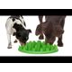 Northmate Green Mini Slow Feeder - miska spowalniająca jedzenie, dla szczeniąt i małych psów
