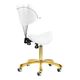 Giovanni 1004 Gold White - złote krzesło groomerskie regulowane w 3 płaszczyznach, siedzisko rodeo, białe
