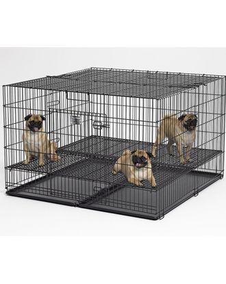 MidWest Puppy Playpen 248-10 rozmiar L - kojec dla szczeniąt, 122x122x76cm