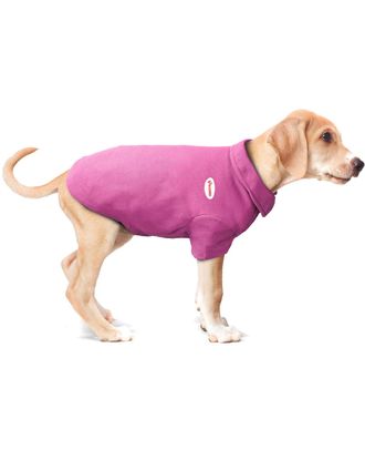 Record Polo Shirt Pink - koszulka polo dla psa, fuksja