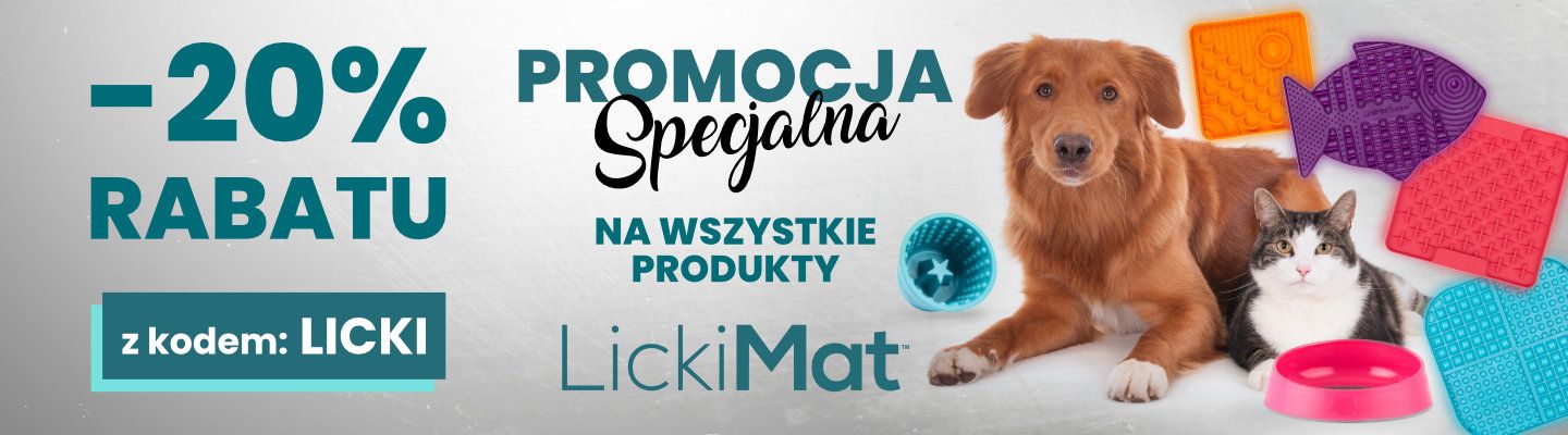 Dzień Kota w GroomerShop