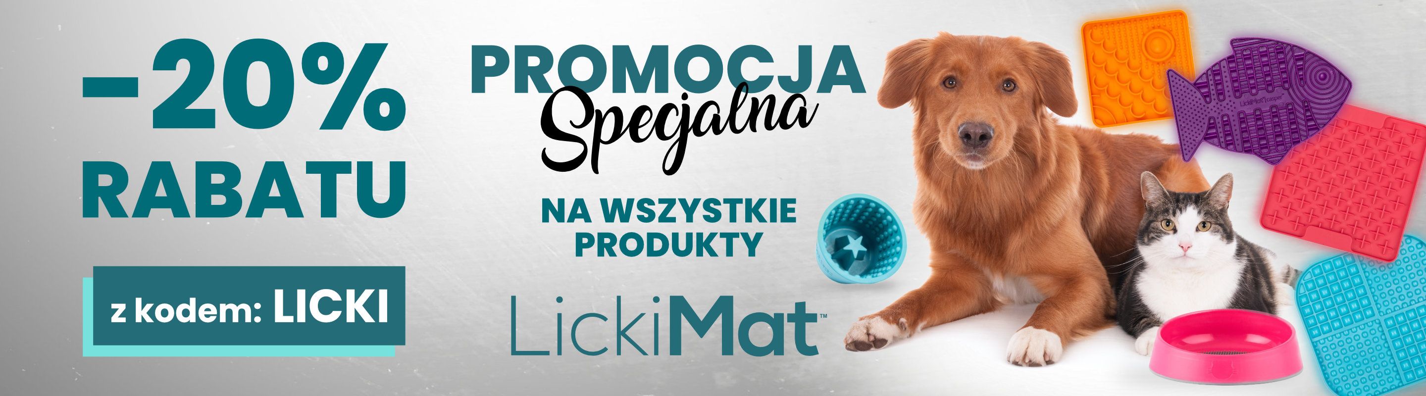 Dzień Kota w GroomerShop