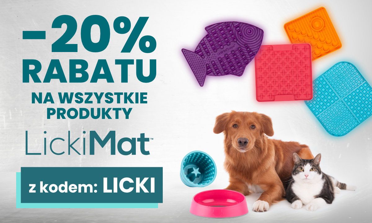 Dzień Kota w GroomerShop